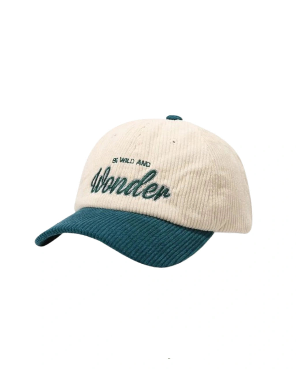 Boné dad hat- Wonder veludo