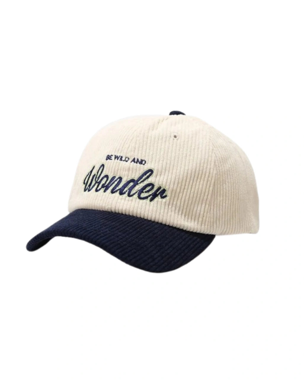 Boné dad hat- Wonder veludo